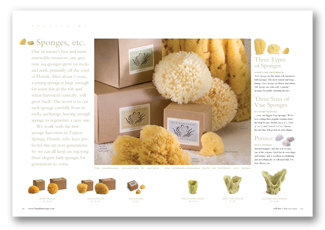 Baudelaire_Catalog_Spread#2