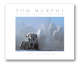 TM_Calendar_Cover