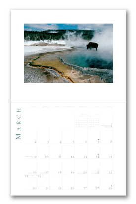 YPF_PicBook#1