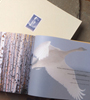 YPF_PicBook#2_tn