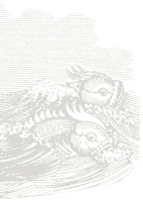 Fish detail from Baudelaire Sponge packaging
