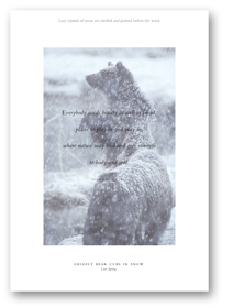 Nature Journal_Bears