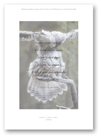 Nature Journal_Owlpage