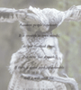 Nature Journal_Owl_tn