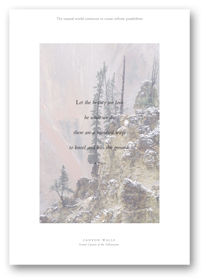 Nature Journal_Canyon