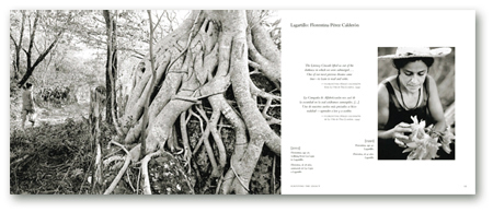 Nicaragua_Lagartillo_spread