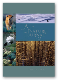 Nature Journal_cover