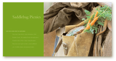 Saddlebags_picnic