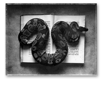 Secret Books_Snake