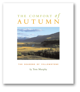 Comfort of Autumn_cover