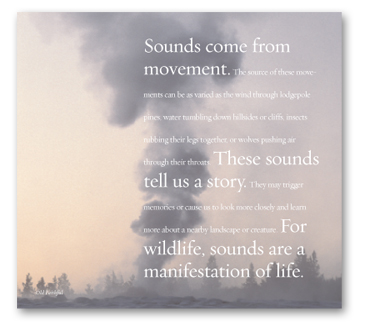 Yellowstone Soundscapes_Intro panel