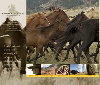 Kim Viers_website_home page