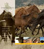 KV_website_home_tn
