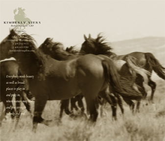 Kim Viers_website_intro