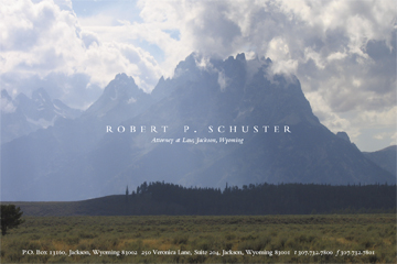 Bob Schuster_website_intro