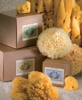 Sea Sponge assorted boxes
