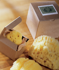 Baudelaire_Assorted Sponge Boxes