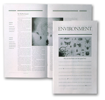 CFE_Newsletter_spread