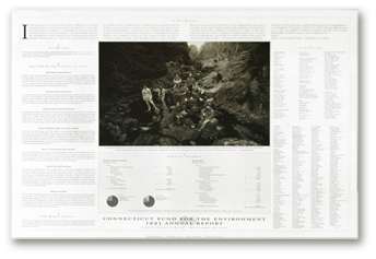 CFE_Annual Report Poster_back