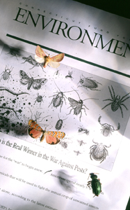 CFE_Newsletter