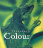 MPM_Color_tn