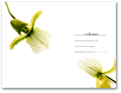 MPM Revue_spread