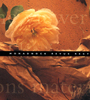 MPM_Revue_cover_tn