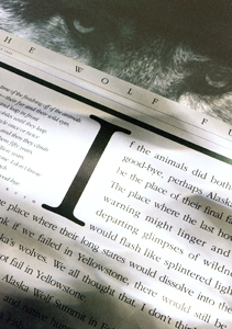 WolfFund_Newsletter