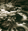 Stream, Platinum Photograph, &copy; Bill West